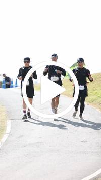 BIB:  <button type="button" onclick="openModal(27788346)" class="btn btn-primary btn-sm float-right" data-toggle="modal" data-target=".modal-high-quality">
                <i class="fa fa-download"></i> Download
                </button>